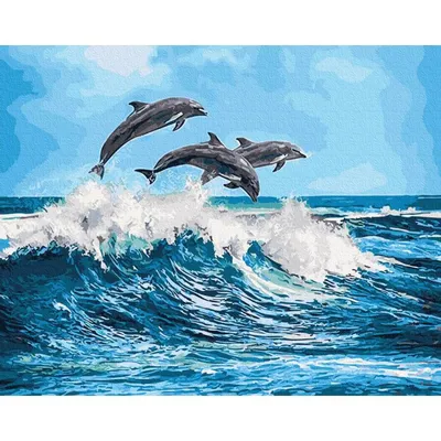 Редкие горбатые дельфины вернулись в воды Гонконга: ученые назвали причину