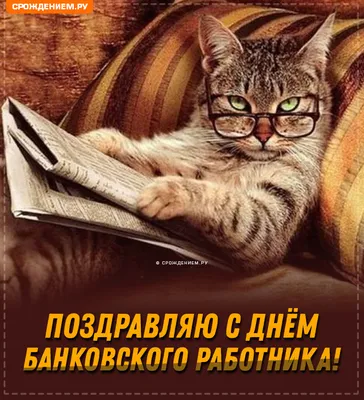 Прикольная открытка с Днём Банковского работника, с котиком • Аудио от  Путина, голосовые, музыкальные