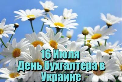 Когда День бухгалтера 2023 в Украине - дата праздника - Lifestyle 24