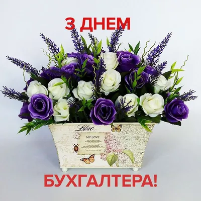 Сегодня отмечают День бухгалтера и аудитора Украины: читать на Golos.ua