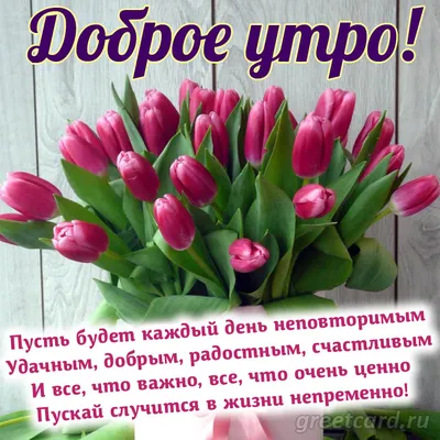 Добрым людям - добрый день!🤗💝🥰🌹 | TikTok