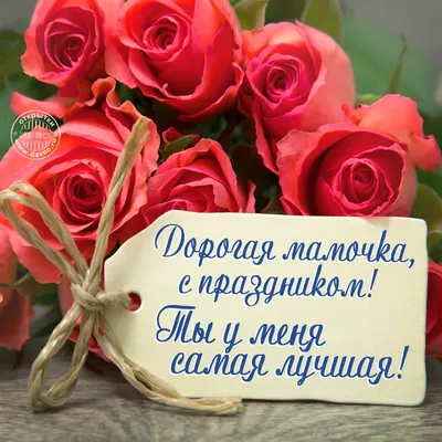 27 ноября в России отмечается День матери