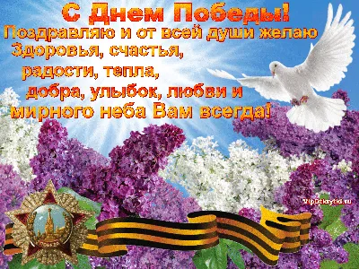 День Великой Победы: лучшие открытки и поздравления с 9 Мая - sib.fm
