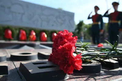 Вечный огонь и цветы в память о войне в мире на день победы на Mayburning вечный  огонь на 9 Стоковое Фото - изображение насчитывающей патриотическо,  достопримечательностью: 212513794