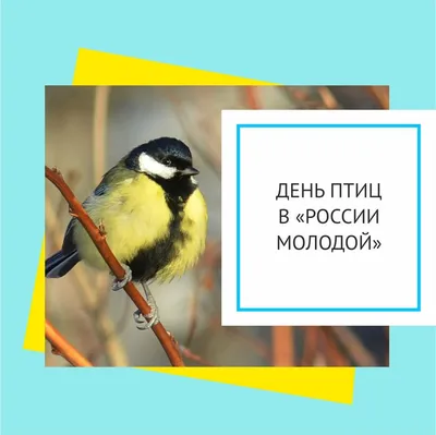Международный день птиц - РИА Новости, 01.04.2022