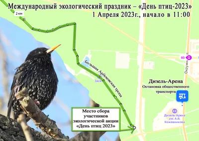 Викторина« Пернатые соседи» Международный день птиц 2023, Острогожский  район — дата и место проведения, программа мероприятия.