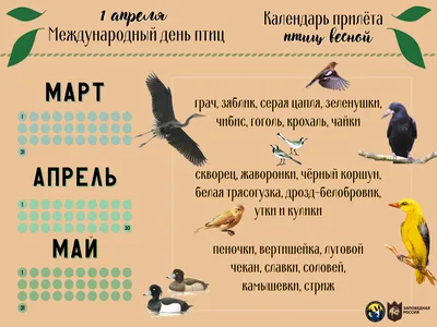 1 апреля - Международный день птиц! - Официальный сайт ГБУ СОДО \"ОЦЭКИТ\"
