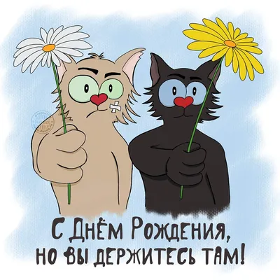 День рождения юмор