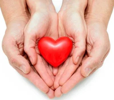 ⚕ Международный День Сердца - PULSE