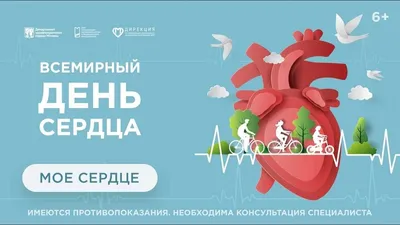 Всемирный день сердца 2024: какого числа, история и традиции праздника