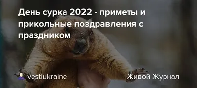 День сурка 2022 - приметы и прикольные поздравления с праздником:  vestiukraine — LiveJournal