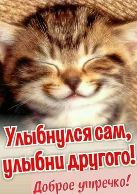 1 октября - День улыбки! | www.adm-tavda.ru