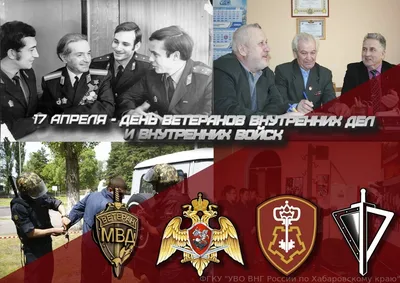 В России вневедомственная охрана является структурным подразделением  Министерства внутренних дел и предоставляет услуги по охране объе… |  Полиция, Медицина, История