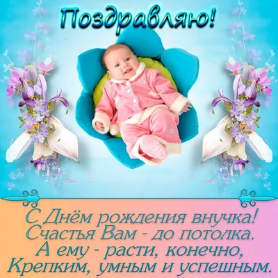 🐥🎶🕊Счастье - это внуки.... - Красивые Картинки, Стихи и Видео | Facebook