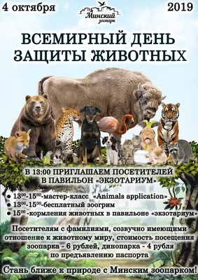 Всемирный день защиты животных 2024: какого числа, история и традиции  праздника