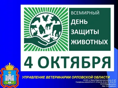 Поздравляем с Днем защиты животных! | Государственная библиотека Югры