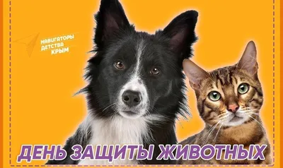 Открытка на 4 октября, Всемирный день защиты животных. Мультяшная открытка  с животными для друзей | Открытки, Животные, Детские творческие проекты