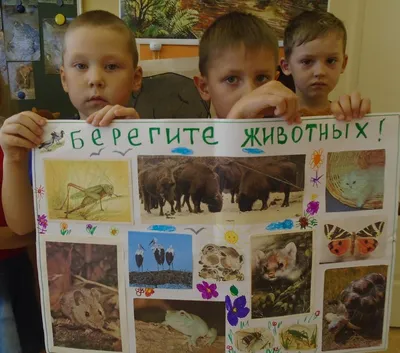 В День защиты животных ульяновских кошек и собак будут лечить бесплатно -  Ульяновск