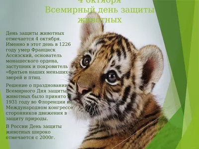 Online-alina.ru - 4 октября - Всемирный день животных (World Animal Day),  или Всемирный день защиты животных, отмечаемый во всем мире ежегодно 4  октября, был учрежден на Международном конгрессе сторонников движения в  защиту