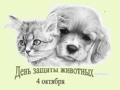 День защиты животных, ГБОУ Школа № 1579, Москва