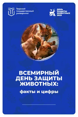 Проекты партии - Всемирный день защиты животных: партпроект проводит  конкурс детского литературного творчества