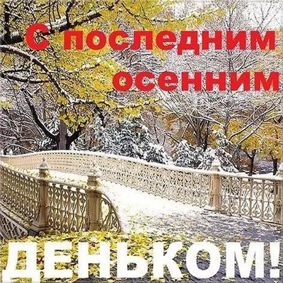 27 ноября в России отмечается День матери