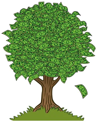 Как обрезать денежное дерево - Agro-Market