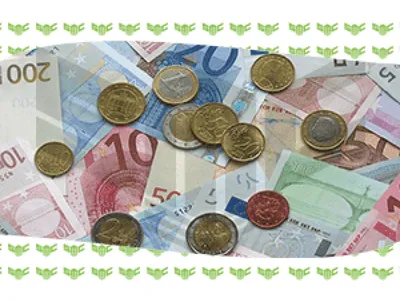 банкноты ЕВРО в мужской руке, изолировано на белом фоне Stock Photo | Adobe  Stock