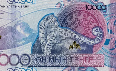 Тенге на черном фоне Деньги Казахстана Банкноты тенге Деньги Казахстан  Тенге Стоковое Фото - изображение насчитывающей профит, концепция: 159101032