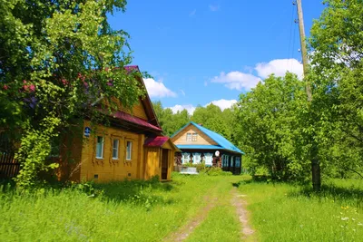 Пейзаж природный \"Летним днем в деревне N3\" 40x50 AR190203 купить в Москве
