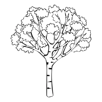 К чему снится дерево — сонник: дерево во сне | 7Дней.ру