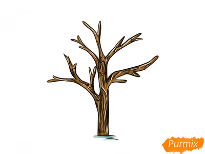 Анимация роста дерева - YouTube