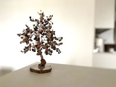 Красивое растущее дерево манго со …» — создано в Шедевруме