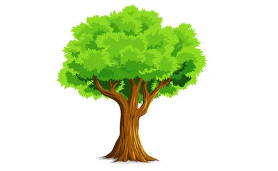 Что такое дерево решений и где его используют? / Хабр
