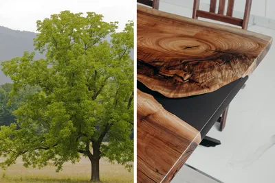 Эбеновое дерево - характеристики и применение древесины. | Wood Market