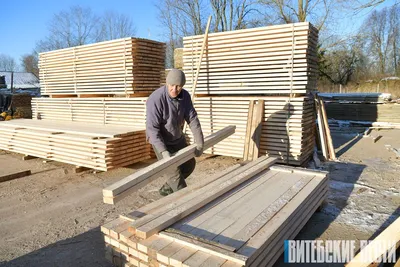 Деревообработка и древесина как строительный материал – коротко о главном |  ДОЗ «Строй Капитал» | Дзен