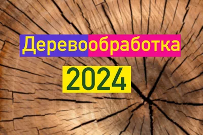 Начинает работу Международная выставка «Деревообработка-2021»