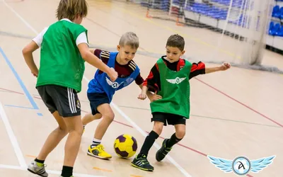 Мяч детский Футбол в ассорт., 20 см | Интернет-магазин детских игрушек  KidLand.ru