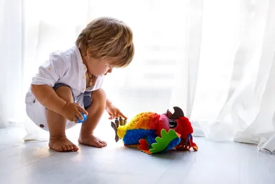 Детские игрушки: какие должны быть у ребенка, сколько игрушек оптимально  покупать детям