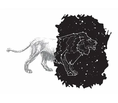 Детские рисованные мультипликационные львы могут быть коммерческими  элементами PNG , лев, животное, мультипликация PNG рисунок для бесплатной  загрузки
