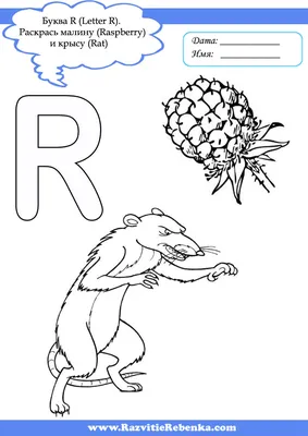 РАЗВИТИЕ РЕБЕНКА: Английская Азбука. Буква R (Letter R)