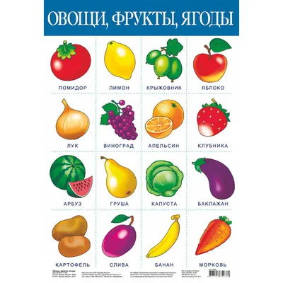 Купить Плакат Дрофа-Медиа Овощи по Промокоду SIDEX250 в г. Владивосток +  обзор и отзывы - Детские обучающие плакаты в Владивосток (Артикул: OTXXRAT)
