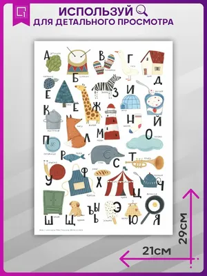 ТМ Мир поздравлений Плакат алфавит с картинками обучающий в школу детский