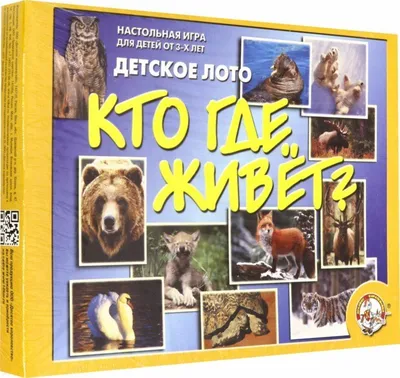 Настольная игра \"СКАЗКИ\", детское лото, советские игры карточные для самых  маленьких - купить с доставкой по выгодным ценам в интернет-магазине OZON  (686801253)