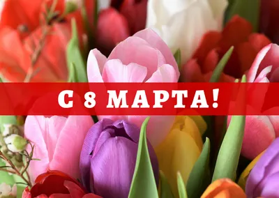 С наступающим 8 марта! Открытки с праздником весны и женского очарования