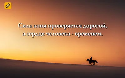 Единый День безопасности дорожного движения под девизом: «Движение по  правилам» - Газета «Березинская панорама»