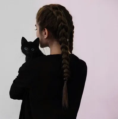 Молодая, красивая девушка с роскошными волосами держит серого кота. Черный  фон Stock Photo | Adobe Stock