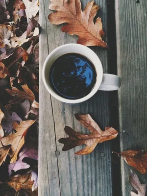 Кофе со вкусом осени . Обсуждение на LiveInternet - Российский Сервис  Онлайн-Дневников