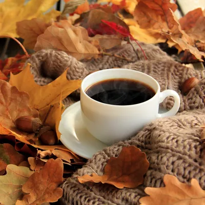 Осень и кофе. 40 фото