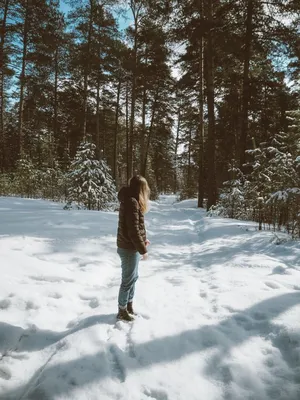 Зима | Пикабу